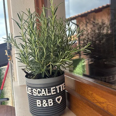 Le Scalette Di Giocondo Tatil Evi Roio Piano